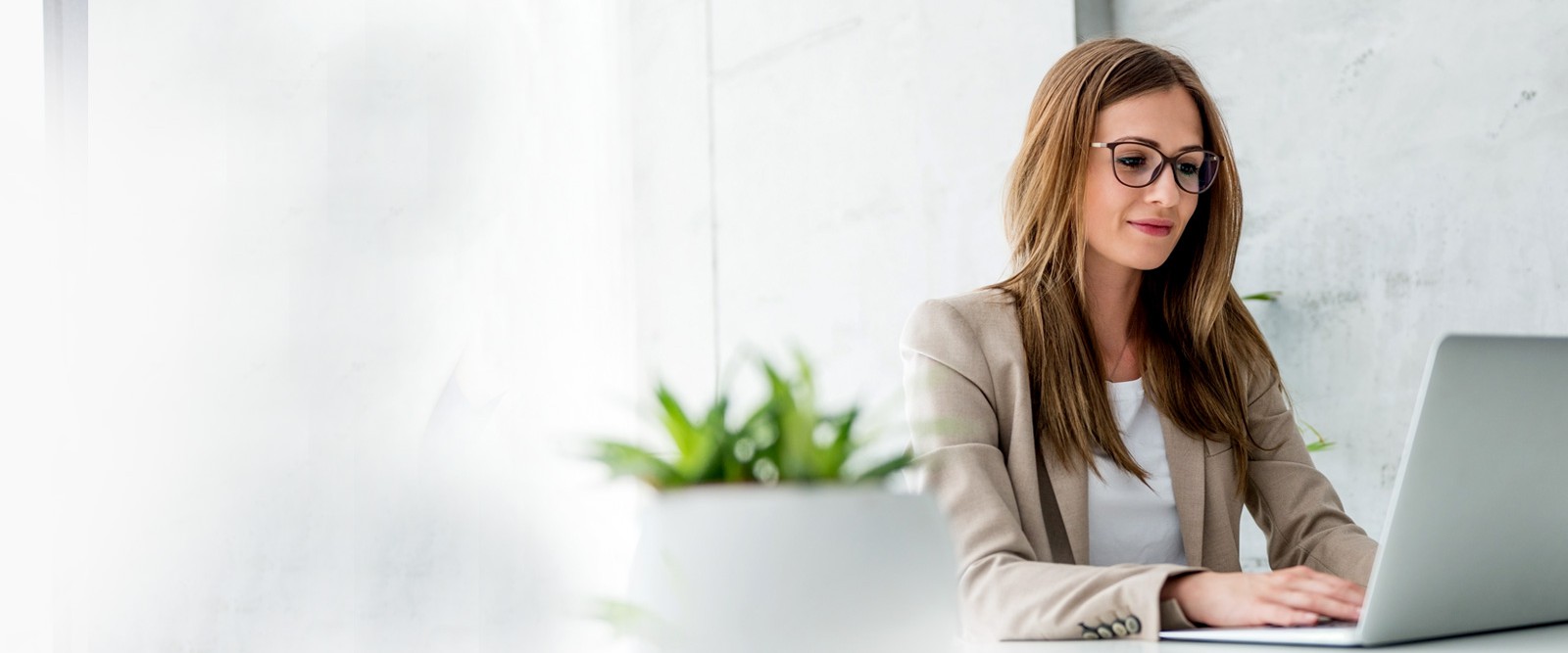 Bailee soft marketing